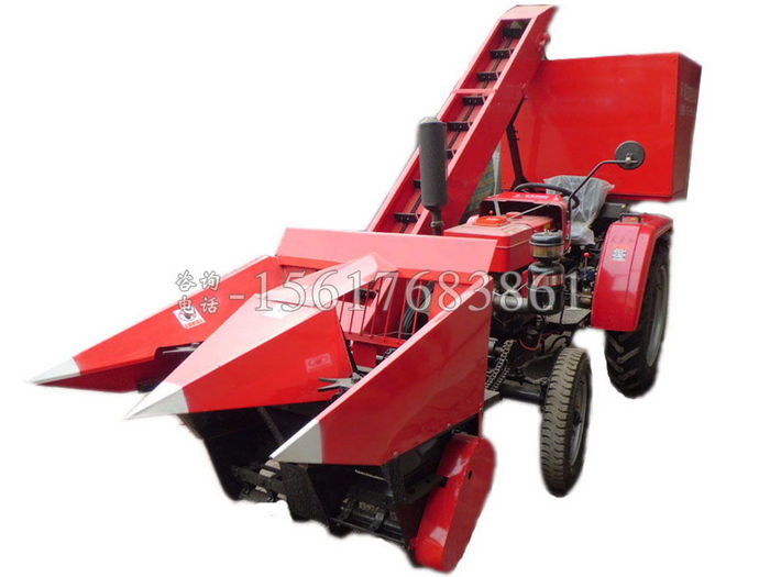 ���������ո�C