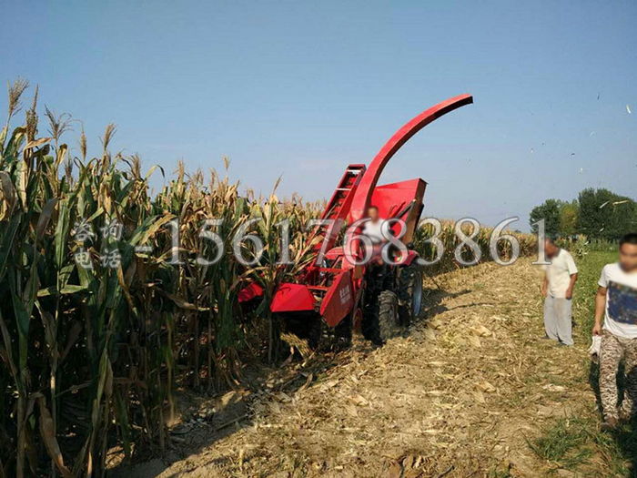 �o����������ո�C(j��)