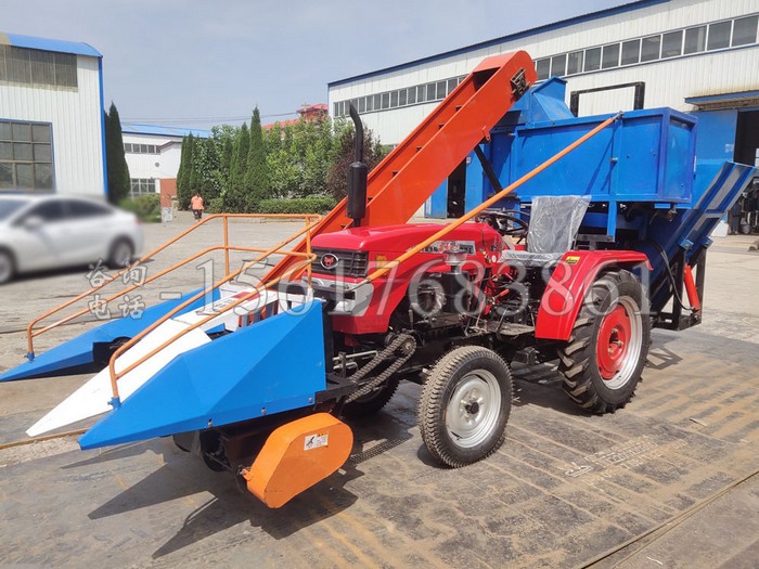 ����Ƥ�����ո�C