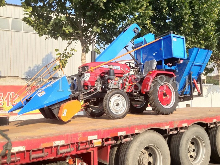 ��(qi��ng)��Ƥ�����ո�C(j��)