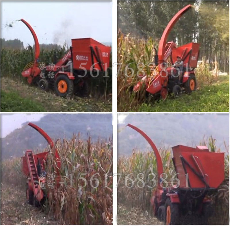 �o����������ո�C(j��)�F(xi��n)��(ch��ng)